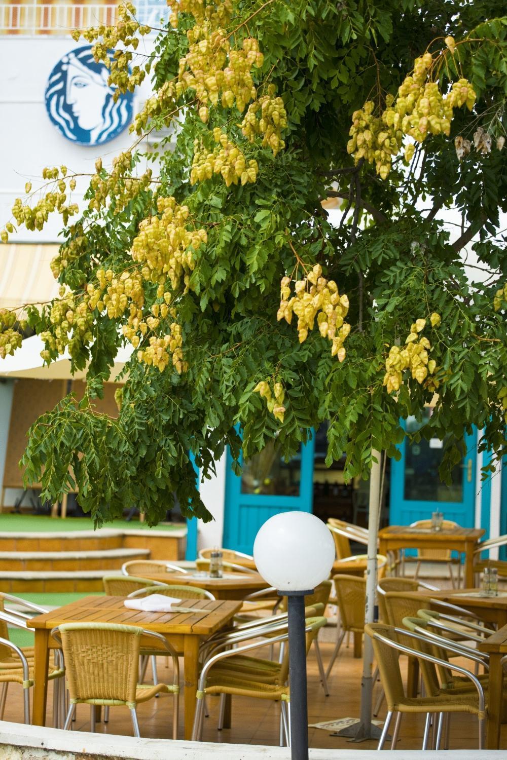 Kaliopa Hotel Albena Exterior foto